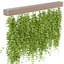 Hanging plants for indoor vol 124 3D model
