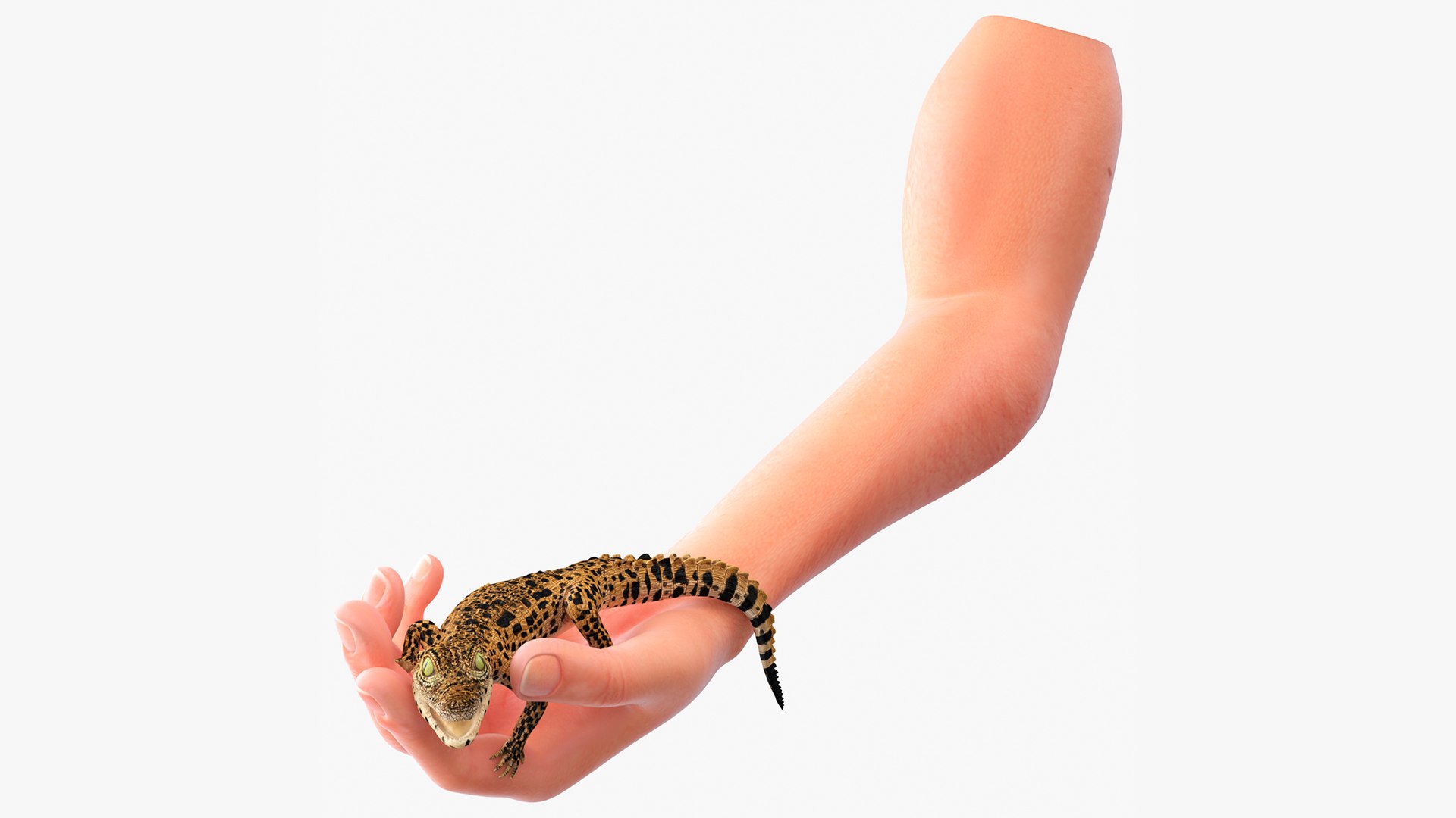 Baby Crocodile Man Hand 3D model preview