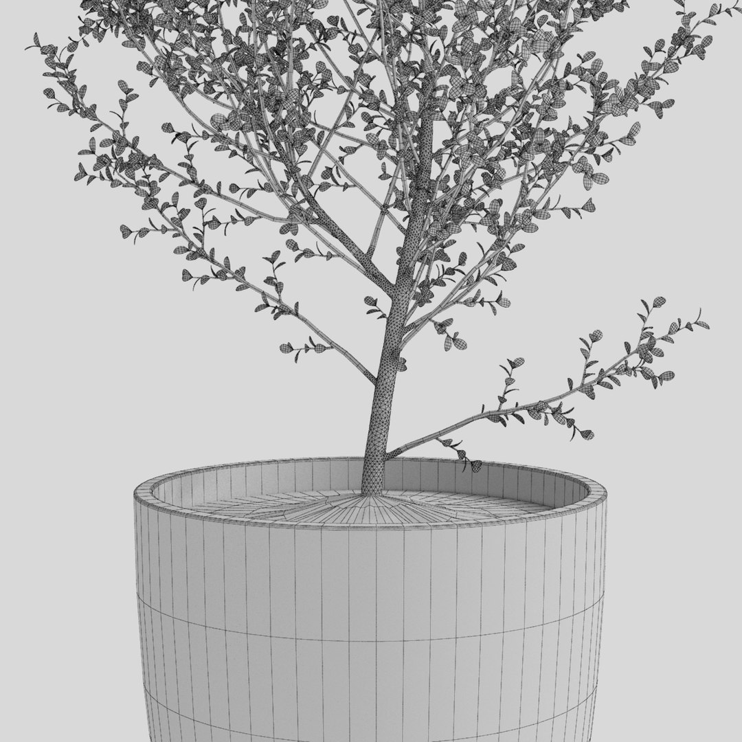 Planter Group Model - TurboSquid 1174729