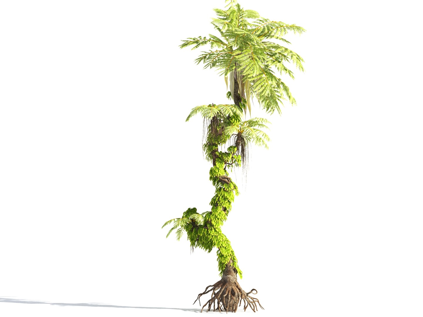 3D prehistoric plants tree model https://p.turbosquid.com/ts-thumb/0D/IiQMfy/68MbaVhc/6/jpg/1609954495/1920x1080/fit_q87/c891ffb386ba7e3145ad1b3b5cc424314c3bf1b2/6.jpg