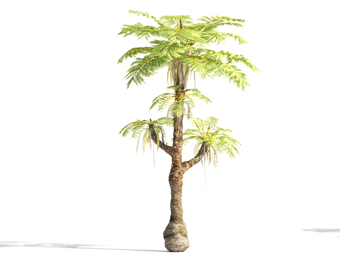 3D prehistoric plants tree model https://p.turbosquid.com/ts-thumb/0D/IiQMfy/7H2UREfe/14/jpg/1609954496/1920x1080/fit_q87/aa991b67586d29455afc248e616a0b53286d3e55/14.jpg