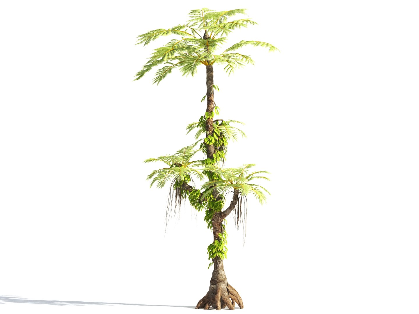 3D prehistoric plants tree model https://p.turbosquid.com/ts-thumb/0D/IiQMfy/7d2b3qmA/11/jpg/1609954496/1920x1080/fit_q87/4a6b1e82231db4f165ccfab30d8aba91a9f92e8a/11.jpg