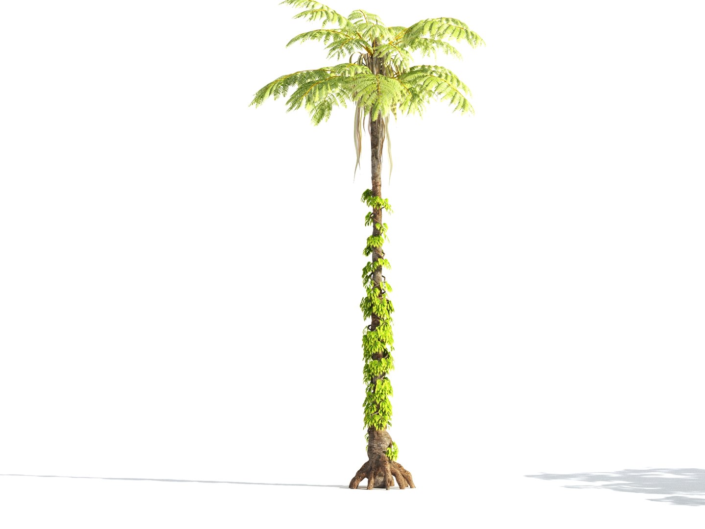 3D prehistoric plants tree model https://p.turbosquid.com/ts-thumb/0D/IiQMfy/W36eWwoZ/7/jpg/1609954495/1920x1080/fit_q87/0c3c3ab3dcb8b1dfebd69bd3ab3e6f852a143507/7.jpg