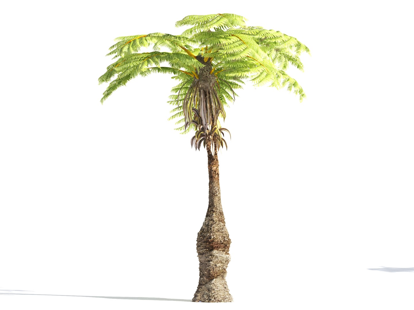 3D prehistoric plants tree model https://p.turbosquid.com/ts-thumb/0D/IiQMfy/hSnKbN5H/15/jpg/1609954496/1920x1080/fit_q87/08f661785abfa4a535bffce935ec933e65a0c2d4/15.jpg