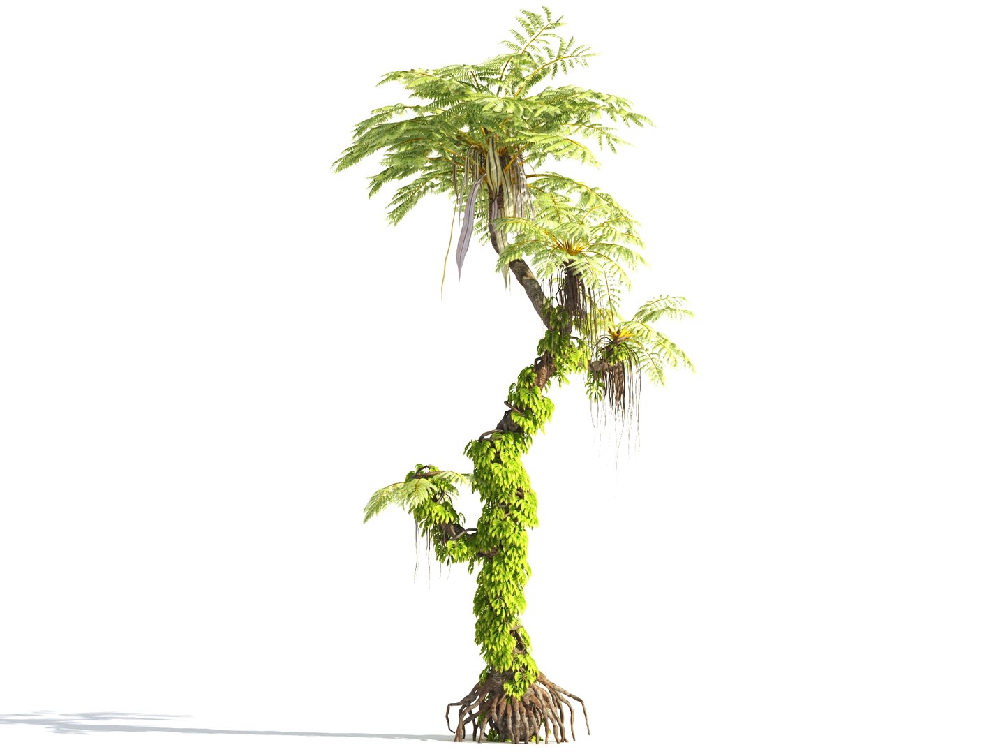 3D prehistoric plants tree model https://p.turbosquid.com/ts-thumb/0D/IiQMfy/jzyPlROd/4/jpg/1609954495/1920x1080/fit_q87/02e4617c466fcc70a7342492b2aed5d763b6a46d/4.jpg