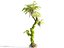Jurassic Trees Animated Pack