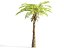 Jurassic Trees Animated Pack