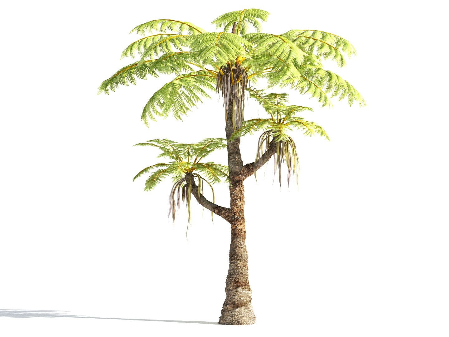 3D prehistoric plants tree model https://p.turbosquid.com/ts-thumb/0D/IiQMfy/pRosUP9z/12/jpg/1609954496/1920x1080/fit_q87/eeae071030a630933ed5c446fe295f8c1e9f7ad9/12.jpg