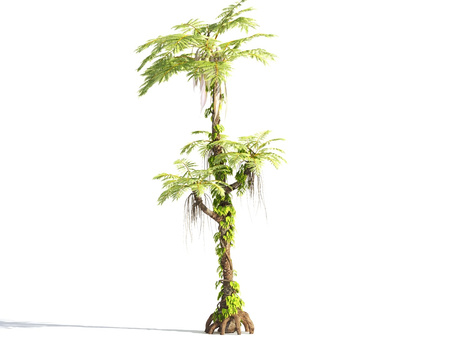 3D prehistoric plants tree model https://p.turbosquid.com/ts-thumb/0D/IiQMfy/rTPsonzz/10/jpg/1609954496/1920x1080/fit_q87/abf5f4faca9b04fe3d5d44a18b953e27deb1f6be/10.jpg
