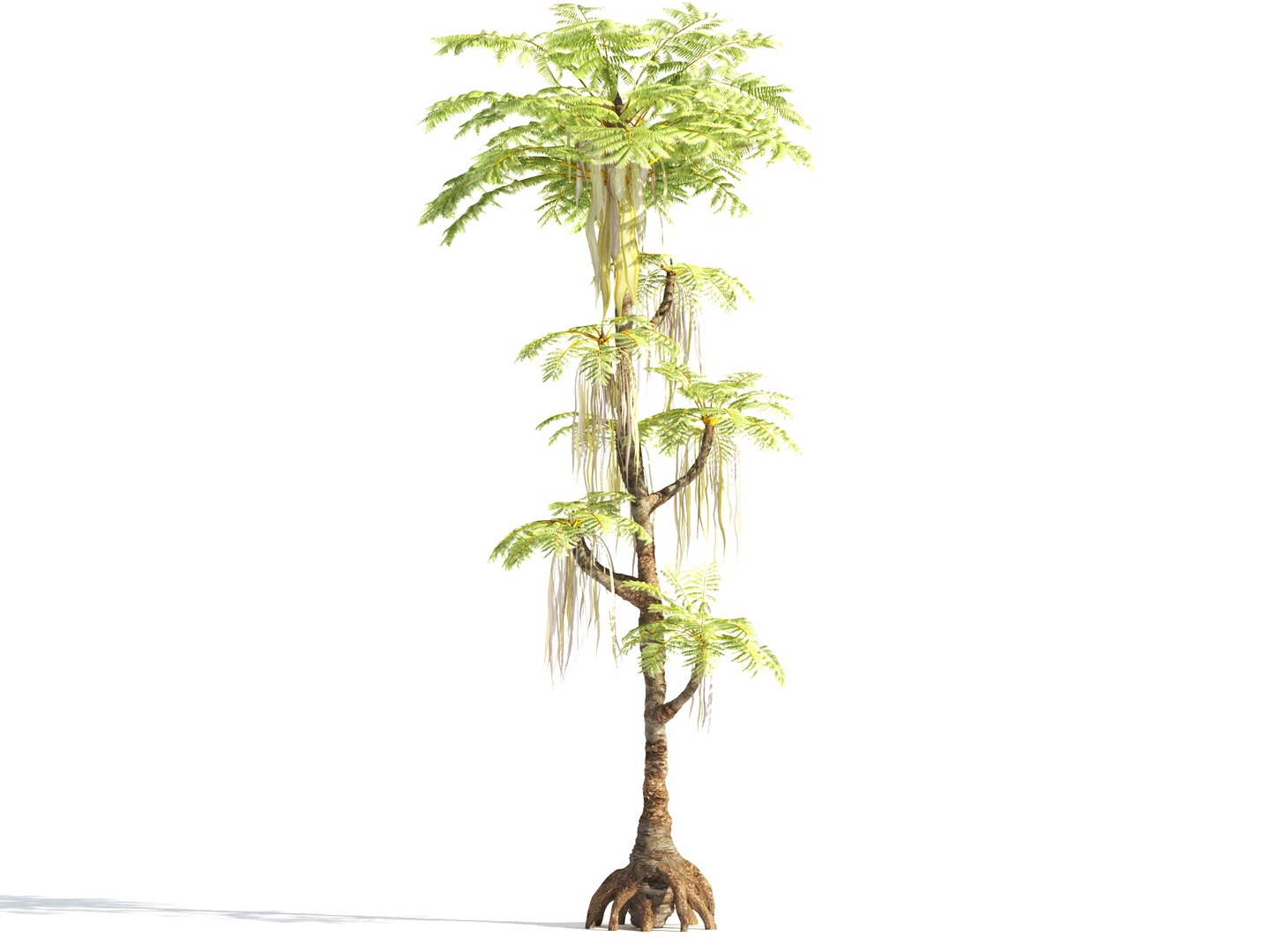 3D prehistoric plants tree model https://p.turbosquid.com/ts-thumb/0D/IiQMfy/sWAxncsU/9/jpg/1609954496/1920x1080/fit_q87/b393435a0b09267c4b43fc8953cff92304de1fa5/9.jpg