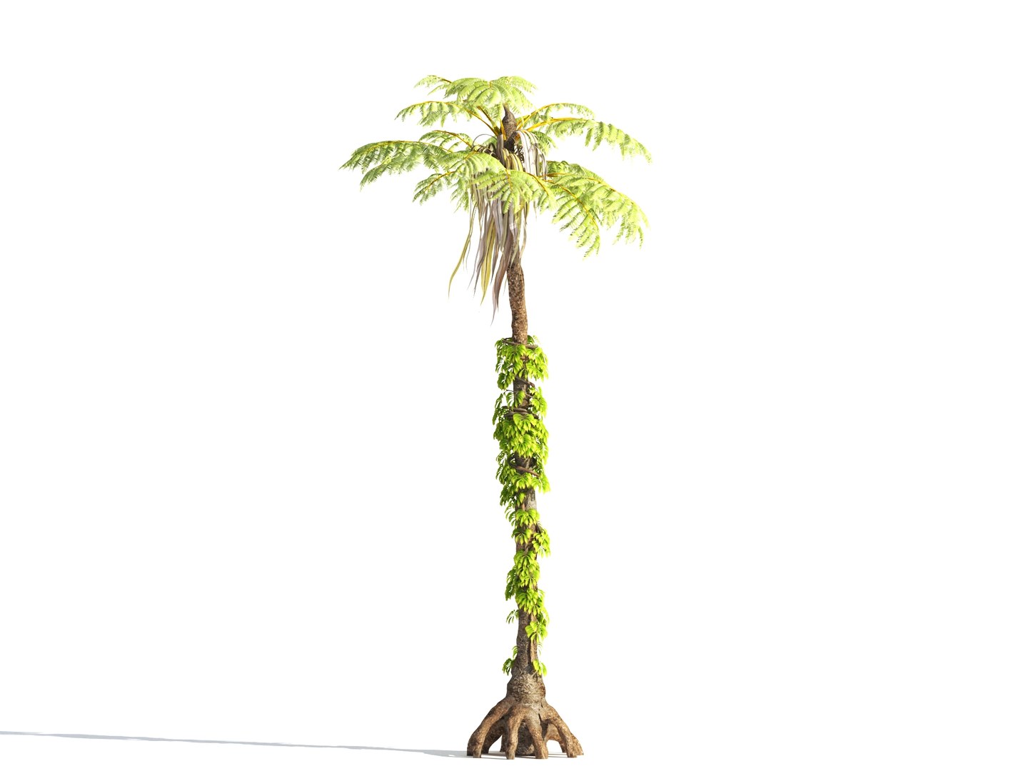 3D prehistoric plants tree model https://p.turbosquid.com/ts-thumb/0D/IiQMfy/t570K45y/5/jpg/1609954495/1920x1080/fit_q87/27d2923e63de050341da2a906a4aa78fb91d16e6/5.jpg