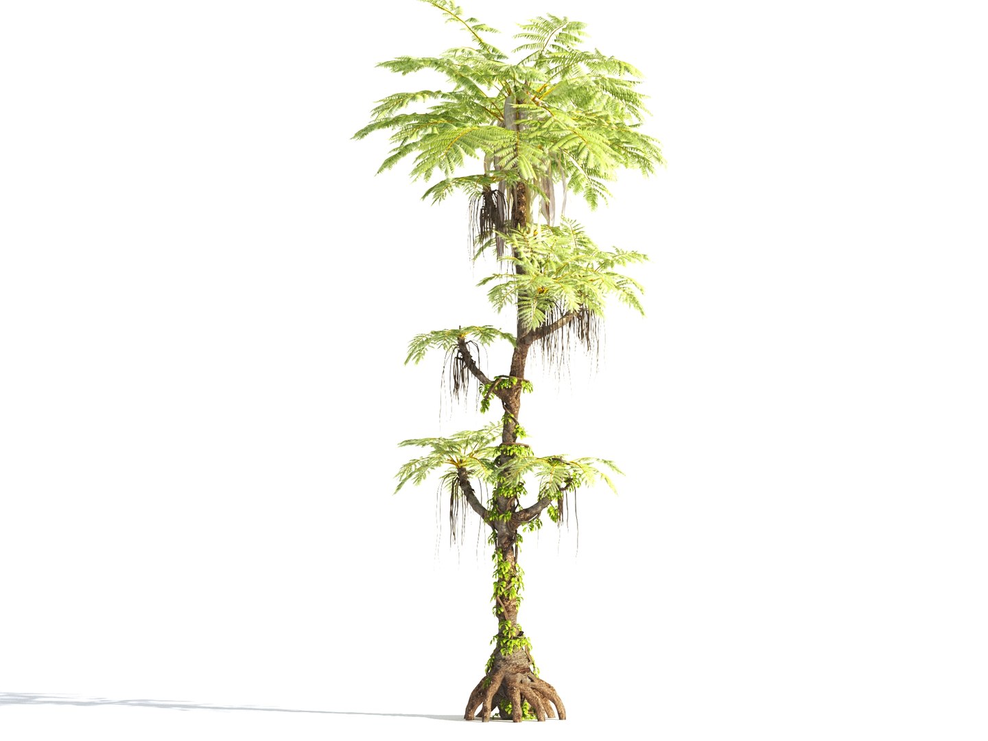3D prehistoric plants tree model https://p.turbosquid.com/ts-thumb/0D/IiQMfy/yYW2Oo7K/8/jpg/1609954496/1920x1080/fit_q87/b75098245f8db576cf66a3cf5e2754541564387b/8.jpg