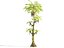 Jurassic Trees Animated Pack