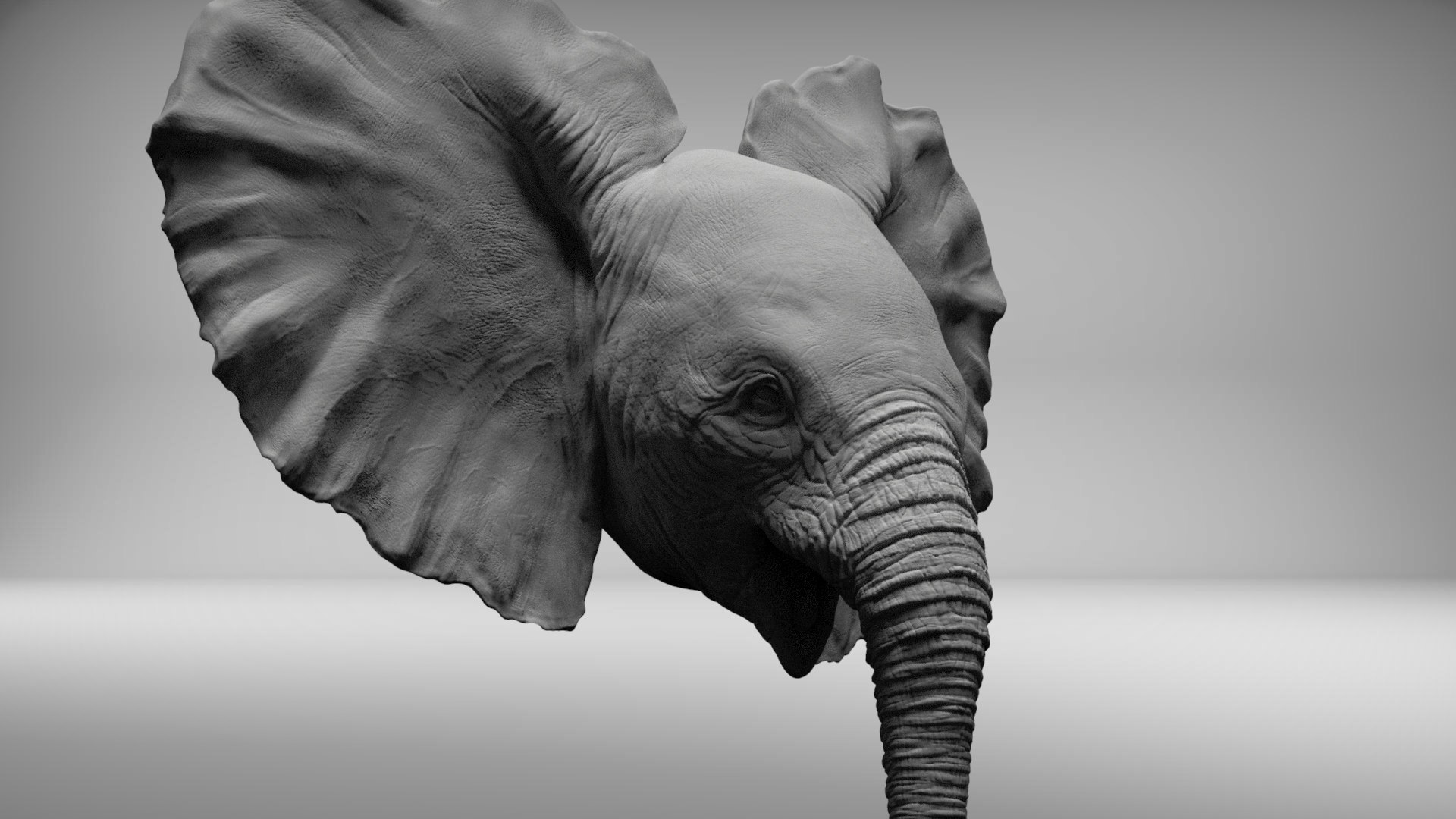 3D Elephant Baby Head - TurboSquid 1291250