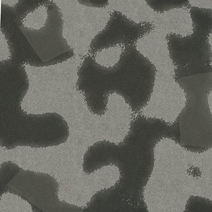 Wet Asphalt