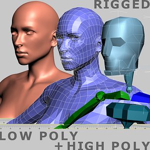 Female. Rigged Base Mesh