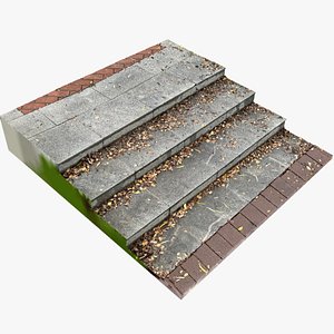3D Steps with leaves in the park 3d scan model