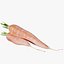 carrot 3D model