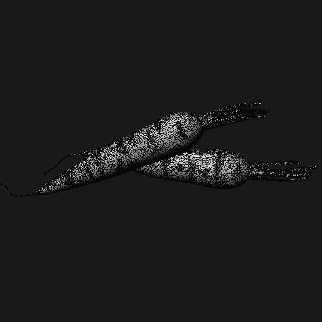 carrot 3D model https://p.turbosquid.com/ts-thumb/0D/gd8xup/WiFjvEgn/wire1/jpg/1586807449/1920x1080/fit_q87/0e24faaff321b09a7fc61962f5563d1b9fdbda0f/wire1.jpg