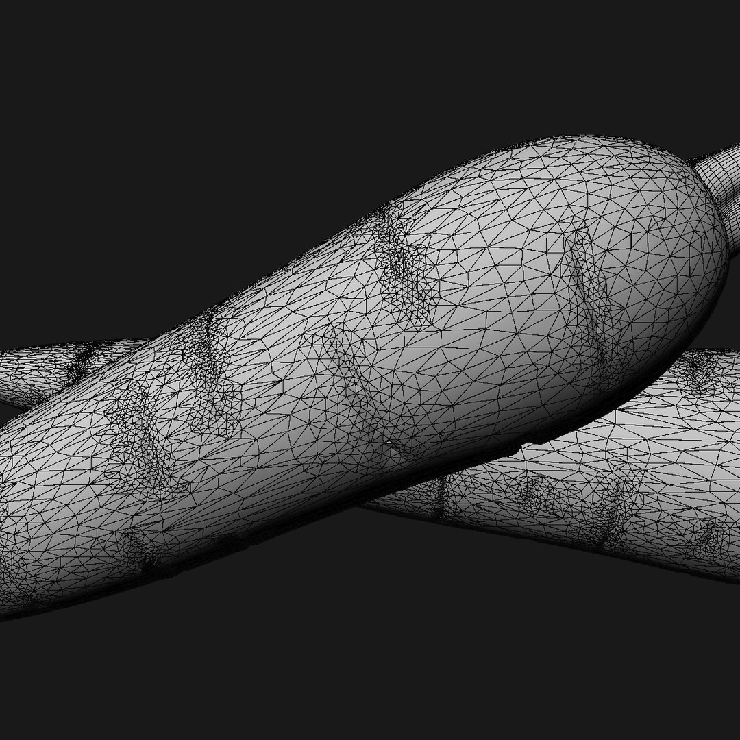 carrot 3D model https://p.turbosquid.com/ts-thumb/0D/gd8xup/jA3pkGtT/wire3/jpg/1586807449/1920x1080/fit_q87/c3f454f0dfac8c69a61df995f1fe463b8309d6a6/wire3.jpg