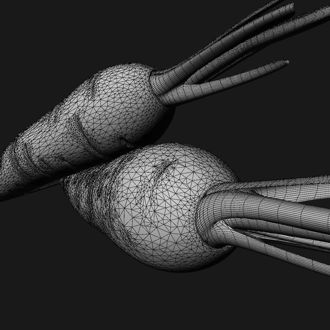 carrot 3D model https://p.turbosquid.com/ts-thumb/0D/gd8xup/jfrGC5KC/wire2/jpg/1586807449/1920x1080/fit_q87/b44428dc74afb37454b12a326d3bc7390379a061/wire2.jpg
