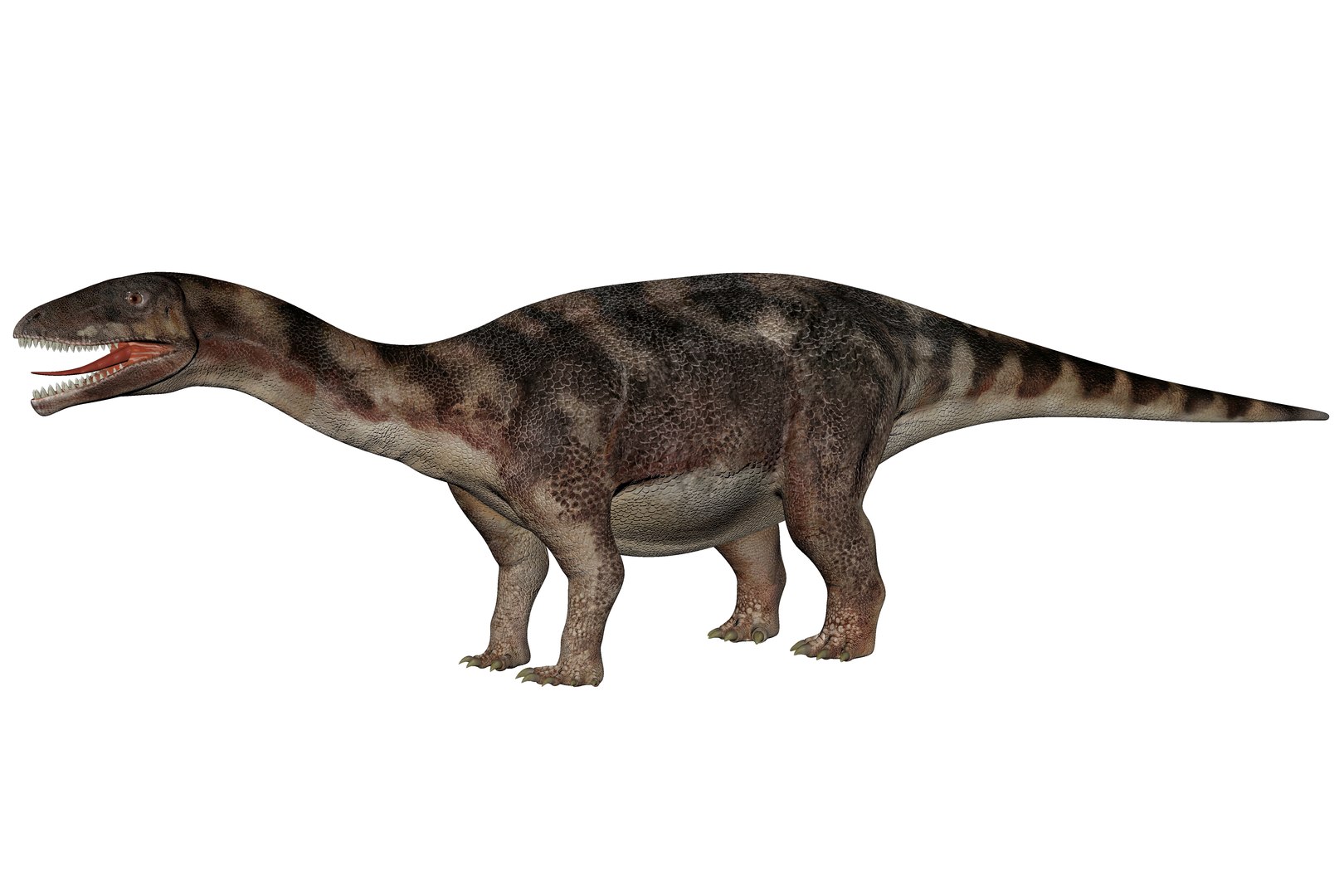 Lessemsaurus Dinosaur Triassic Animal 3D Model - TurboSquid 2335436