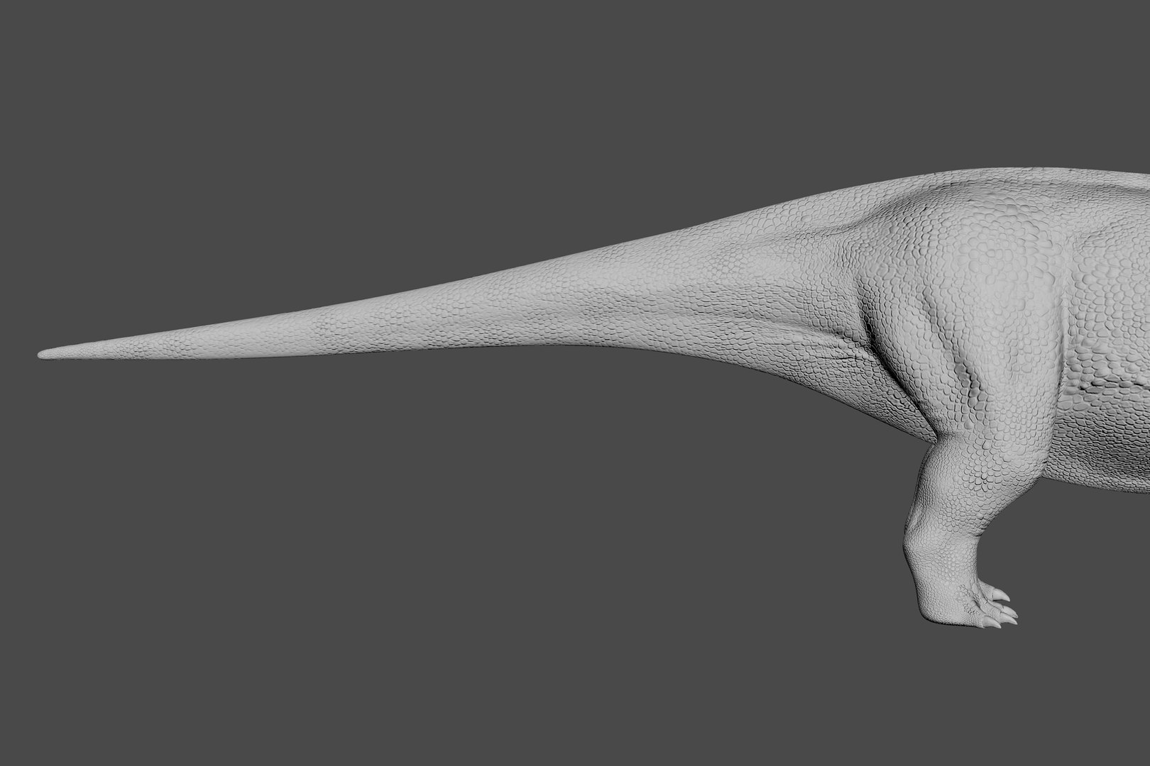 Lessemsaurus Dinosaur Triassic Animal 3D Model - TurboSquid 2335436