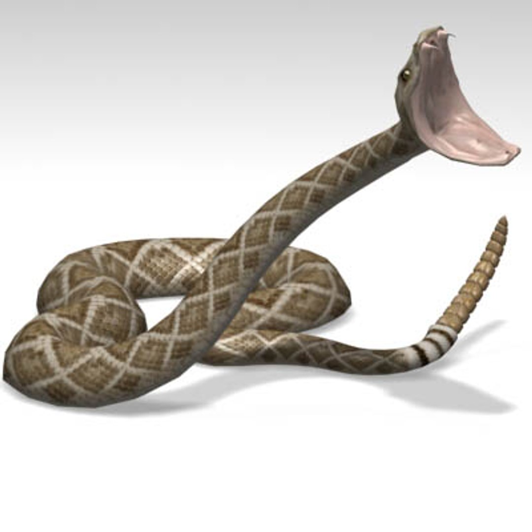 snake rattlesnake 3d model