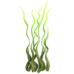 seaweed 8 3D model
