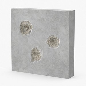 Impacts Bullet Holes Concrete Tight