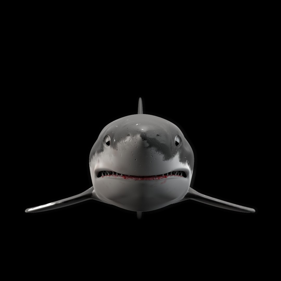 shark animation 3d model https://p.turbosquid.com/ts-thumb/0E/Cs8K4Y/LDxVQRn2/ren4/jpg/1377787747/1920x1080/fit_q87/9720b2fc62cbf2560a3ee634f69aa652f7c75fdd/ren4.jpg