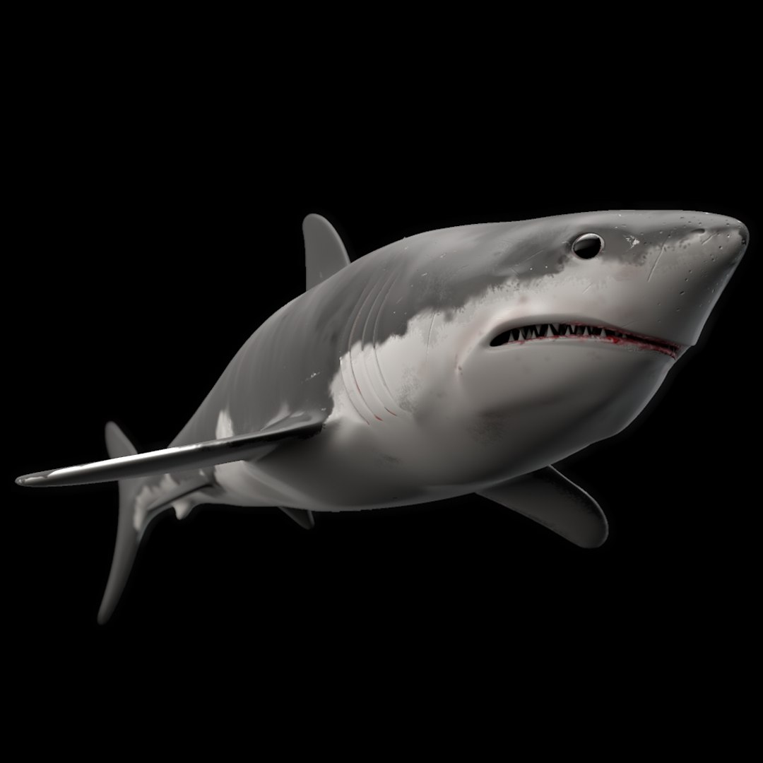 shark animation 3d model https://p.turbosquid.com/ts-thumb/0E/Cs8K4Y/ptqjYRG4/ren2/jpg/1377787721/1920x1080/fit_q87/1900279e84e38cf6ec2bbf171720b766bac112dc/ren2.jpg
