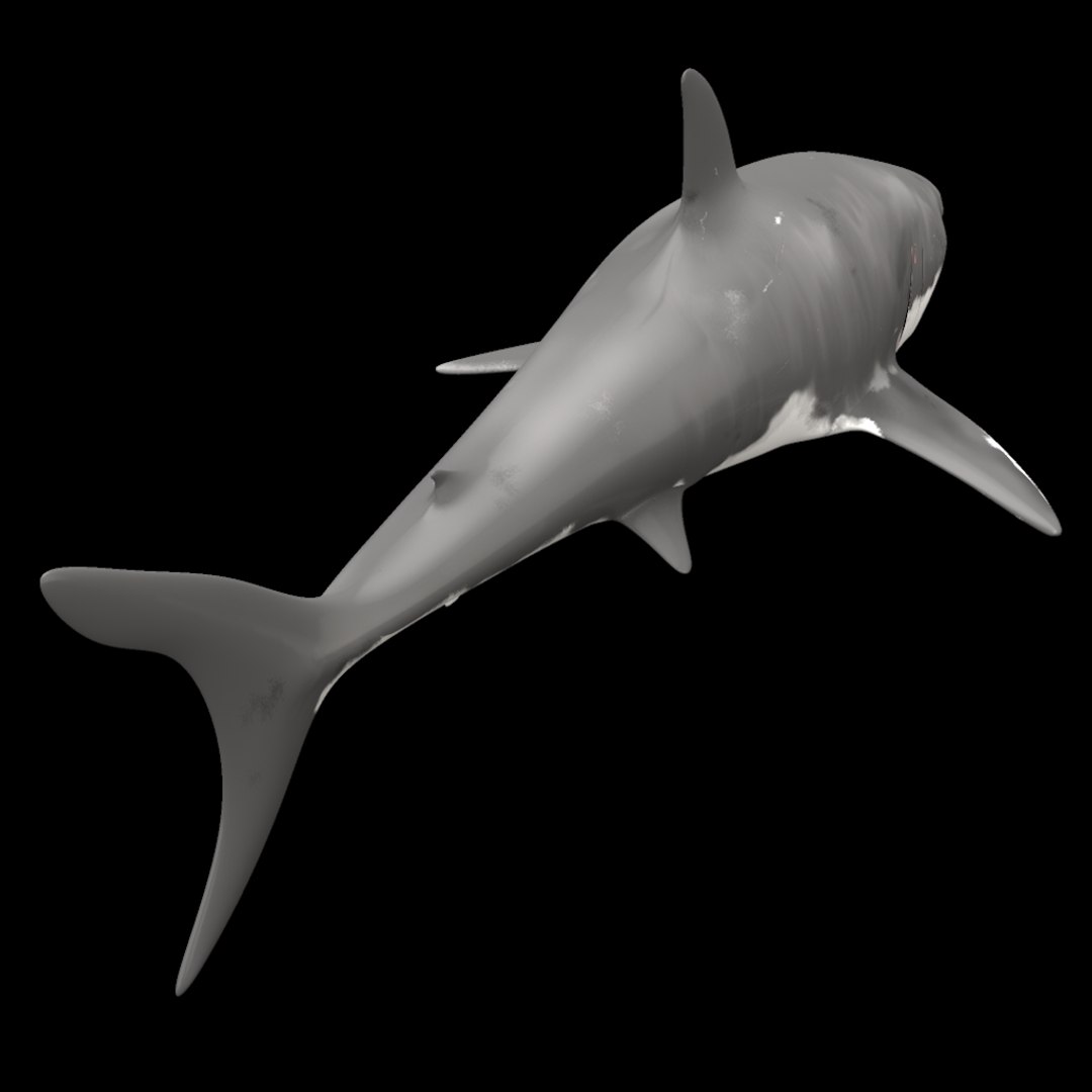 shark animation 3d model https://p.turbosquid.com/ts-thumb/0E/Cs8K4Y/vU9dV6oT/ren3/jpg/1377787735/1920x1080/fit_q87/4d8ce50a80b719bbd7d6d51697a03d399a247eec/ren3.jpg