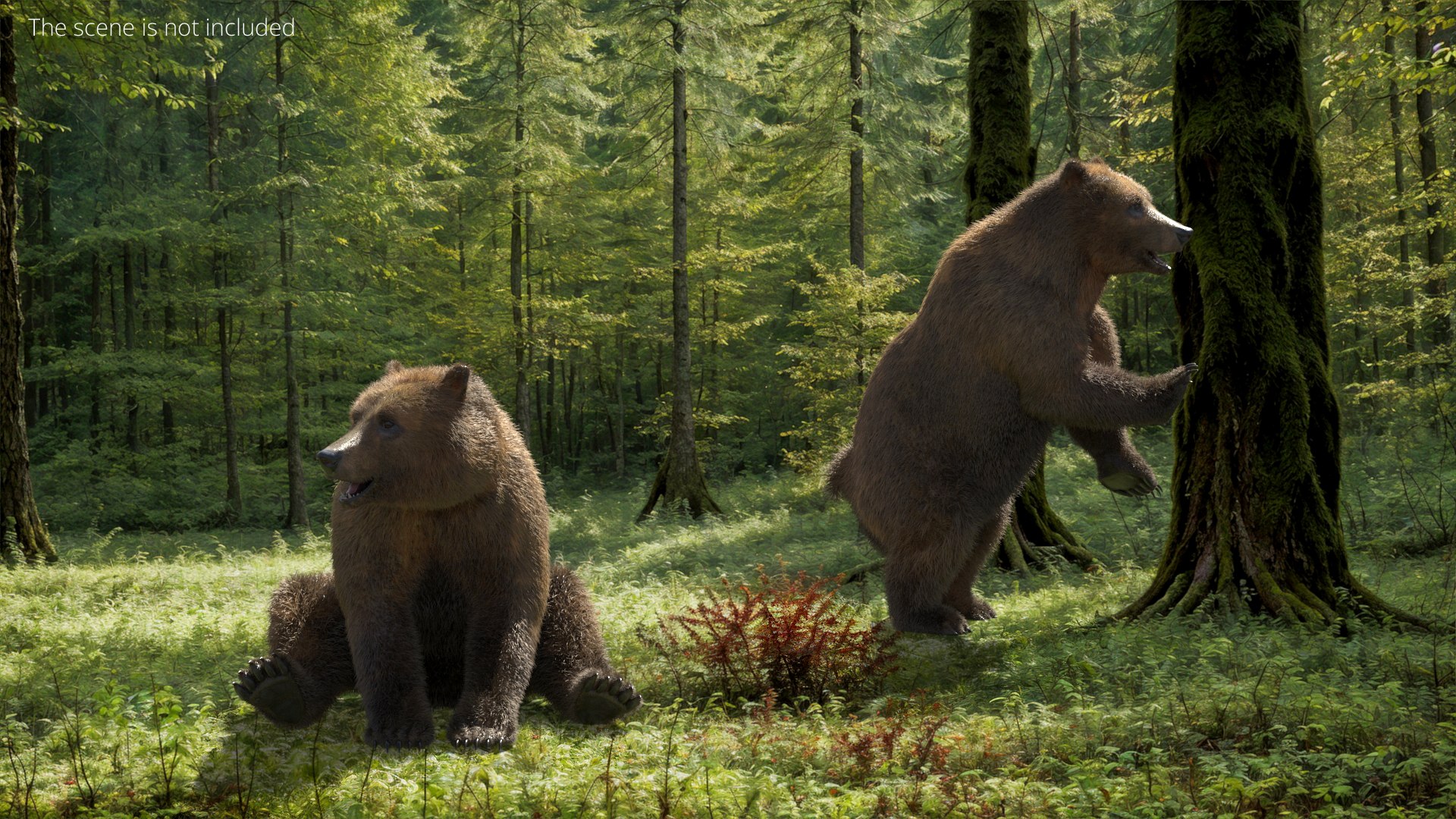3D Realistic Grizzly Bear with Neutral Pose Fur Rigged model https://p.turbosquid.com/ts-thumb/0E/MmdtUj/9V/realistic_grizzly_bear_with_neutral_pose_fur_rigged_003/jpg/1754441055/1920x1080/fit_q87/fc9085c183afcaa847d91fff622ff97d5db5aa97/realistic_grizzly_bear_with_neutral_pose_fur_rigged_003.jpg