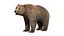 Realistic Grizzly Bear with Neutral Pose Fur Rigged