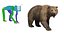 Realistic Grizzly Bear with Neutral Pose Fur Rigged