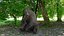 Realistic Grizzly Bear with Neutral Pose Fur Rigged