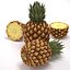 free max model pineapple