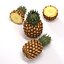 free max model pineapple
