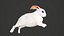 Animated rabbit