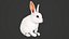 Animated rabbit