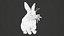 Animated rabbit