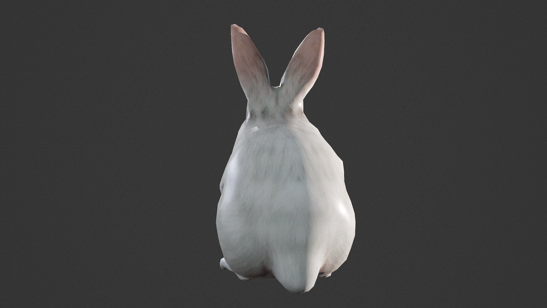 Animated rabbit 3D model https://p.turbosquid.com/ts-thumb/0E/WVsQ51/nH/screenshot006/png/1700134662/1920x1080/fit_q87/3ec8f145693105ddf822a127e2da9deb9928b462/screenshot006.jpg