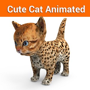 cute cat animation model