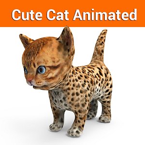 low poly kitten cat animated