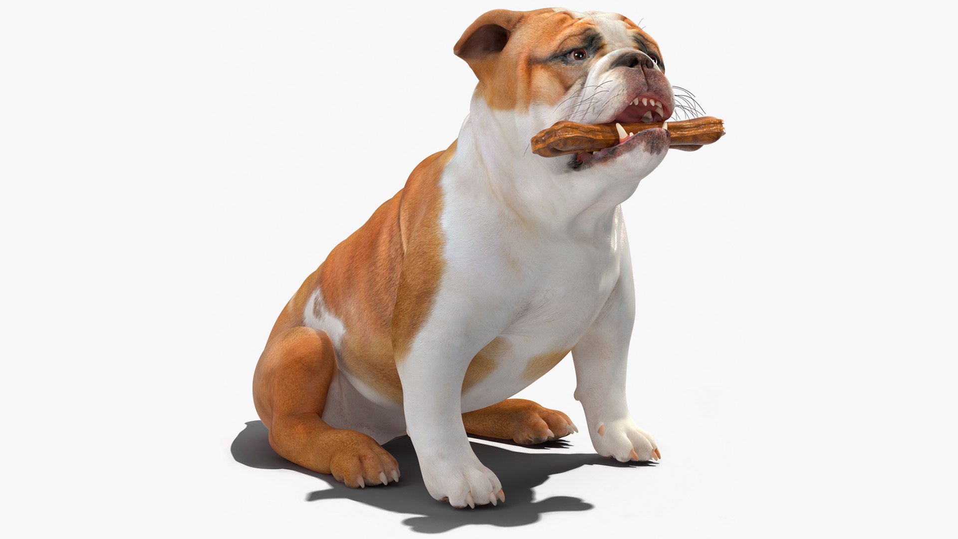 Bulldog with a Chewing Bone in His Mouth 3D model preview