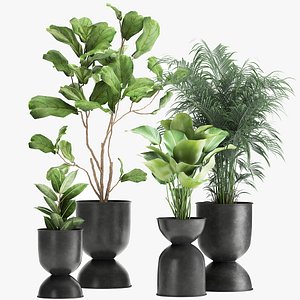 Plants in a black pot for the interior 1041 model