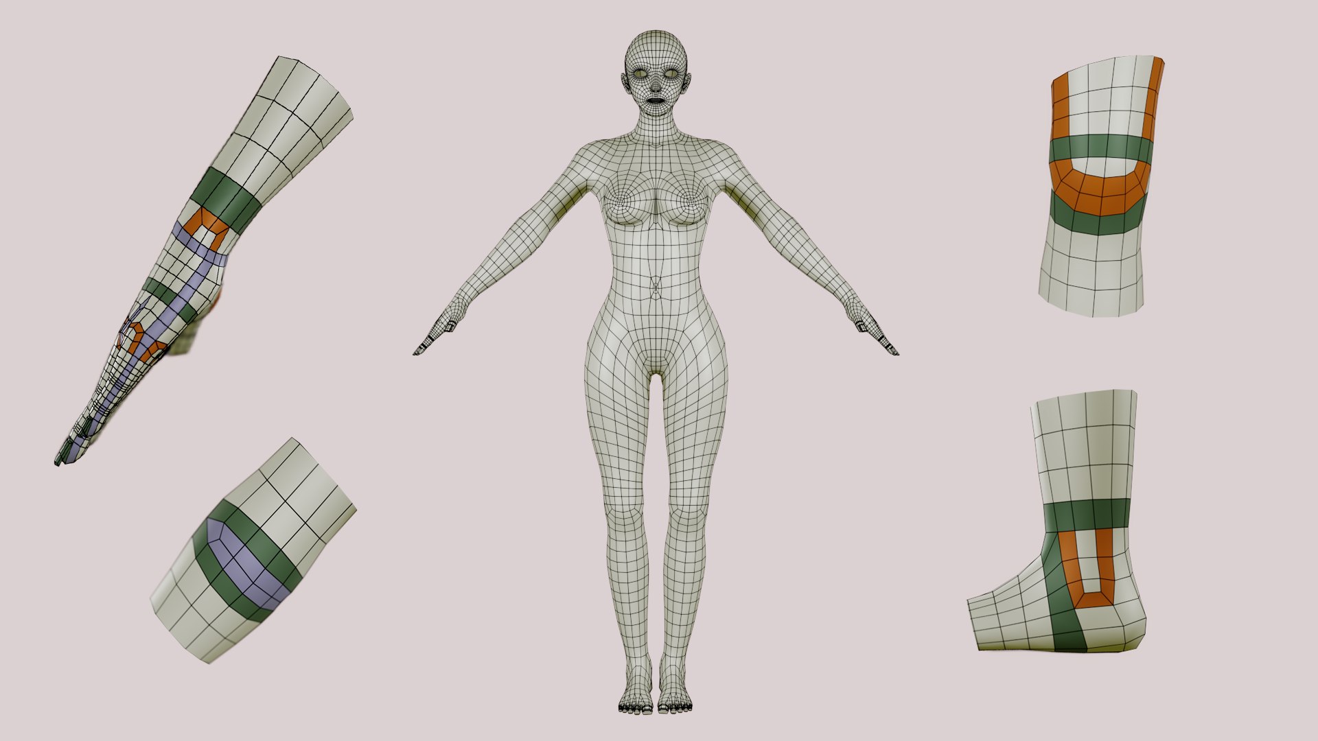Female Body Base Mesh Topology 3D model https://p.turbosquid.com/ts-thumb/0E/vieZJd/OR/foothandheadbasemeshtopology02/png/1708447479/1920x1080/fit_q87/5c2cc69c56080b8992318385be29855eeda8ef32/foothandheadbasemeshtopology02.jpg
