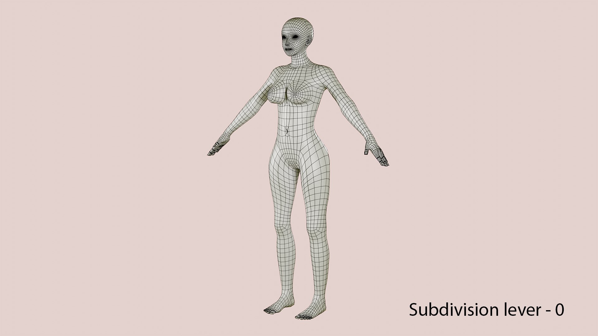 Female Body Base Mesh Topology 3D model https://p.turbosquid.com/ts-thumb/0E/vieZJd/d3/subdivision01/png/1708346019/1920x1080/fit_q87/f1e3d19327e7f3cf8398ab0fb3ba3a04969f188f/subdivision01.jpg
