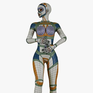 Female Body Base Mesh Topology 3D model